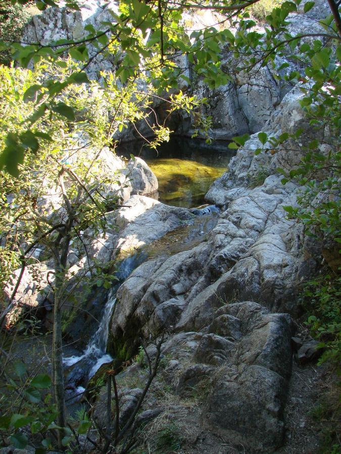 Ribes - Chalet Gite Au Coeur De La Nature Sournia Экстерьер фото