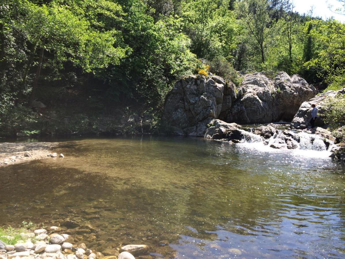 Вилла Ribes - Chalet Gite Au Coeur De La Nature Sournia Экстерьер фото